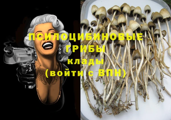 винт Горно-Алтайск