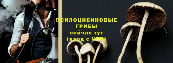 винт Горно-Алтайск