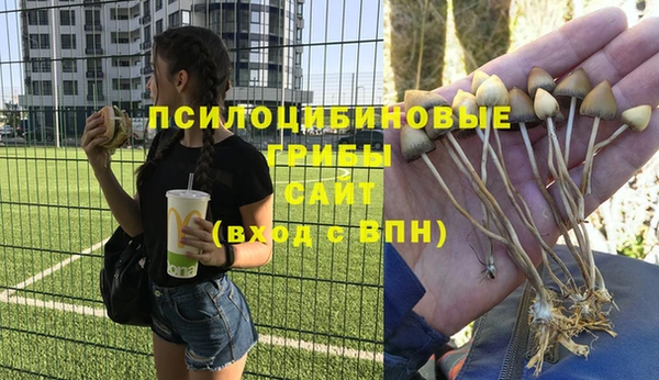 винт Горно-Алтайск