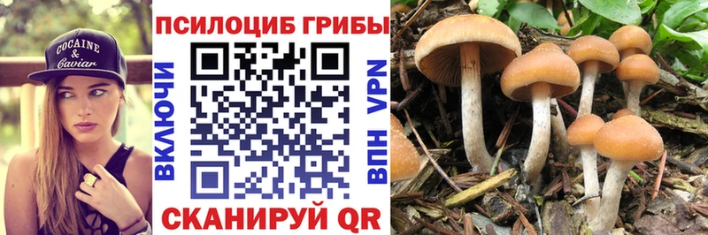 Галлюциногенные грибы MAGIC MUSHROOMS Выкса
