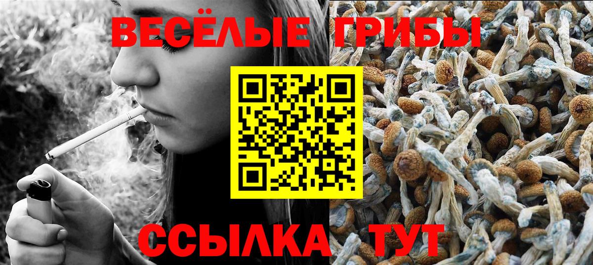 Псилоцибиновые грибы GOLDEN TEACHER  Вход с VPN  закладка  Выкса 