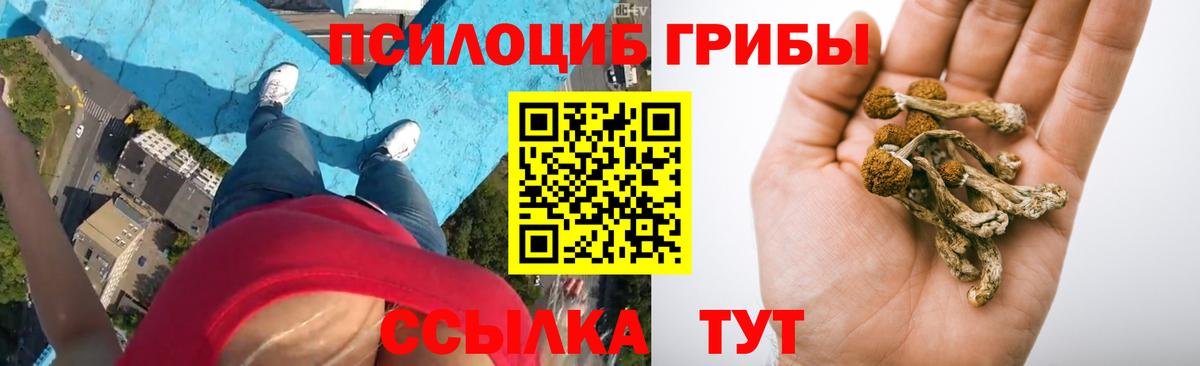 Псилоцибиновые грибы Cubensis Выкса