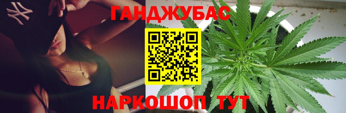 Марихуана план  Конопля ГИДРОПОН  Канабис Bruce Banner  Вход с VPN  Выкса 
